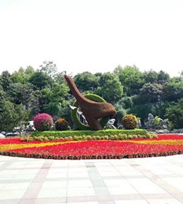 2015年案例賞析