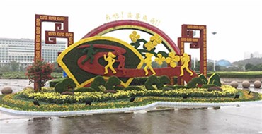 五色草造型的多變性分析