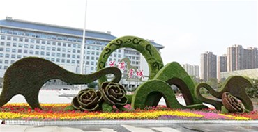喜迎青奧城市綠化