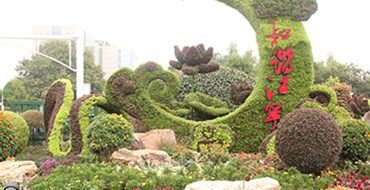 如何養(yǎng)護(hù)好花草