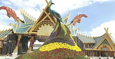 農(nóng)業(yè)生態(tài)工程，結(jié)出綠色的果實(shí)