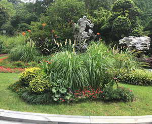 花壇花境