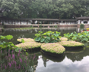 生態(tài)修復(fù)