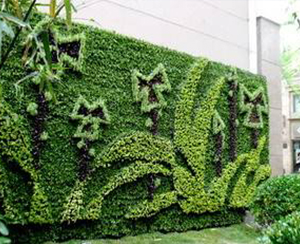 植物壁畫