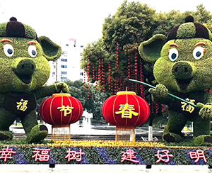 2019年項(xiàng)目