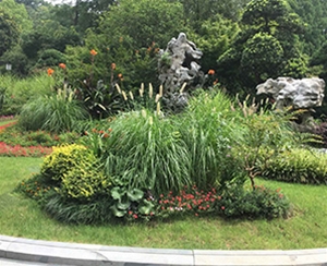 花壇花境