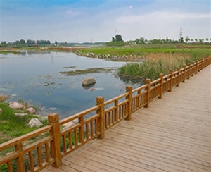 生態(tài)修復(fù)
