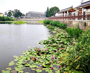 生態(tài)修復(fù)