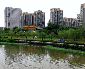 生態(tài)修復(fù)
