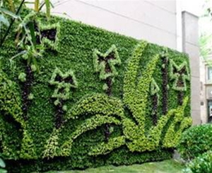 植物壁畫(huà)